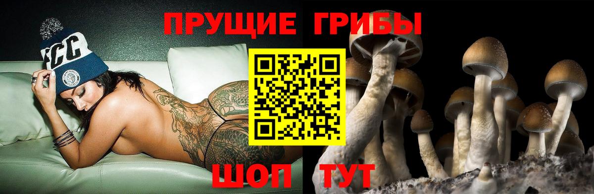 Галлюциногенные грибы ЛСД  наркошоп  Галлюциногенные грибы MAGIC MUSHROOMS  Лангепас  Вход с VPN 