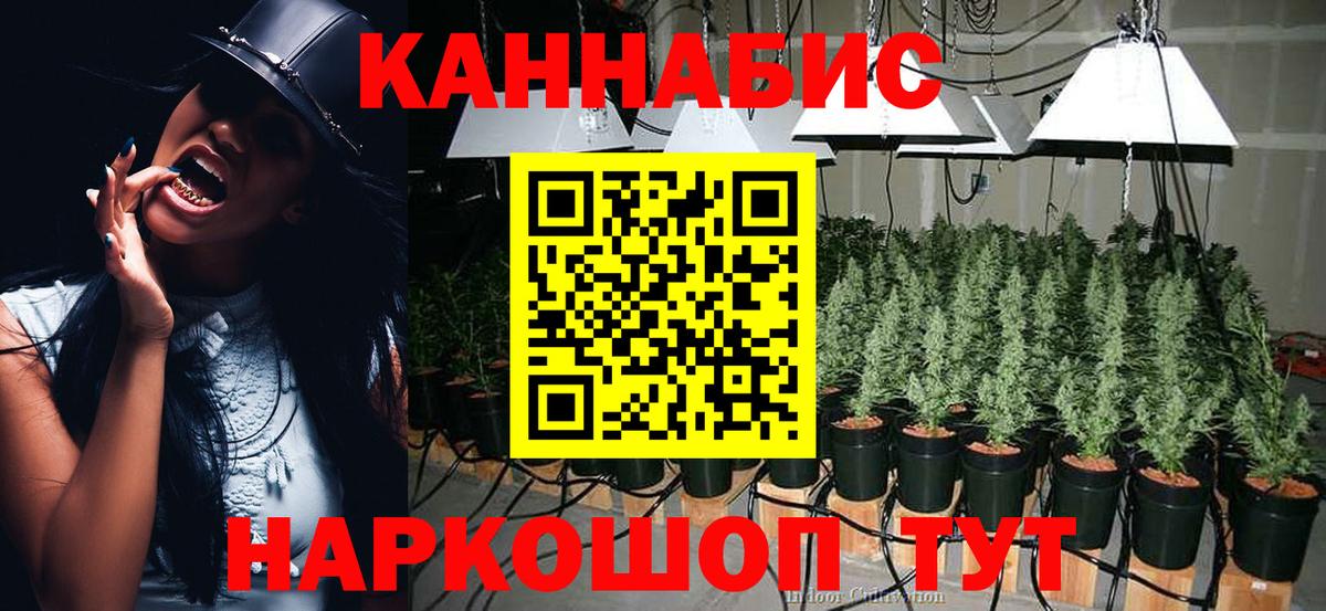 Конопля ГИДРОПОН  Бошки Шишки White Widow  Конопля White Widow  Лангепас  Вход с VPN 